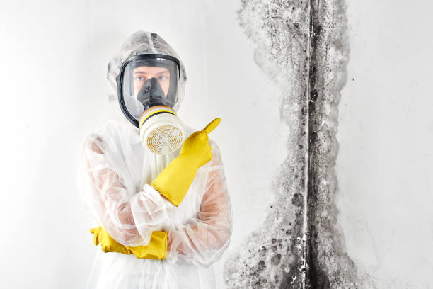 Best Comprehensive Air Testing for Mold Contaminants in Ettrick, VA