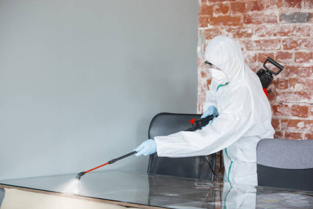 Why You Should Choose Our Mold Remediation Services in Ettrick, VA